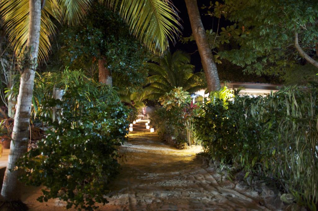 Whistling Bird Hotel Negril Exterior photo